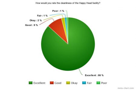 A pie chart displaying customer ratings on the cleanliness of the Happy Head facility. The chart shows that 86% of clients rated the cleanliness as 'Excellent,' 9% as 'Good,' 2% as 'Okay,' 1% as 'Fair,' and 1% as 'Poor.