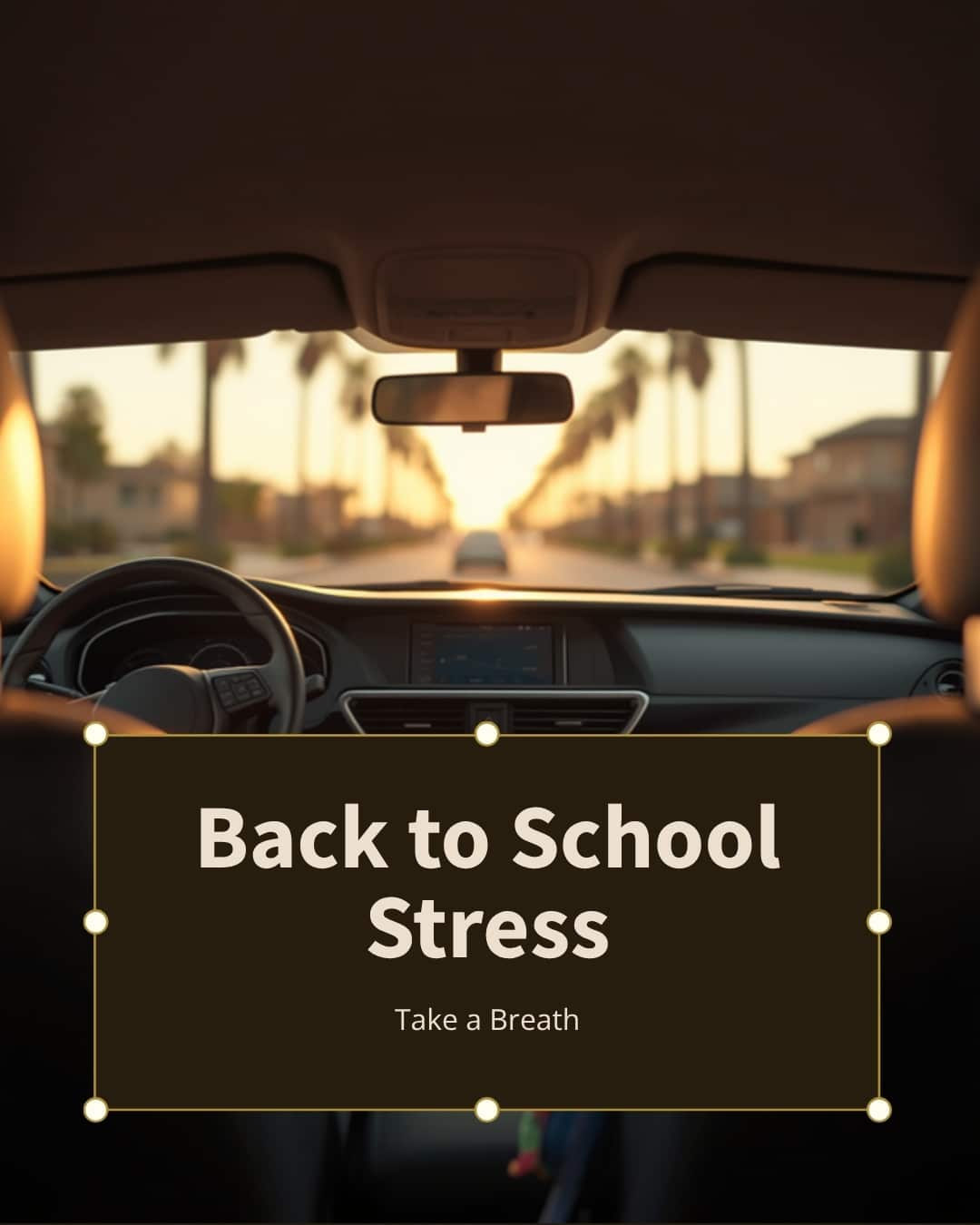 A parked car at golden hour on a palm-lined San Diego street — the quiet moment after school drop-off, and a reminder to handle back to school stress.
