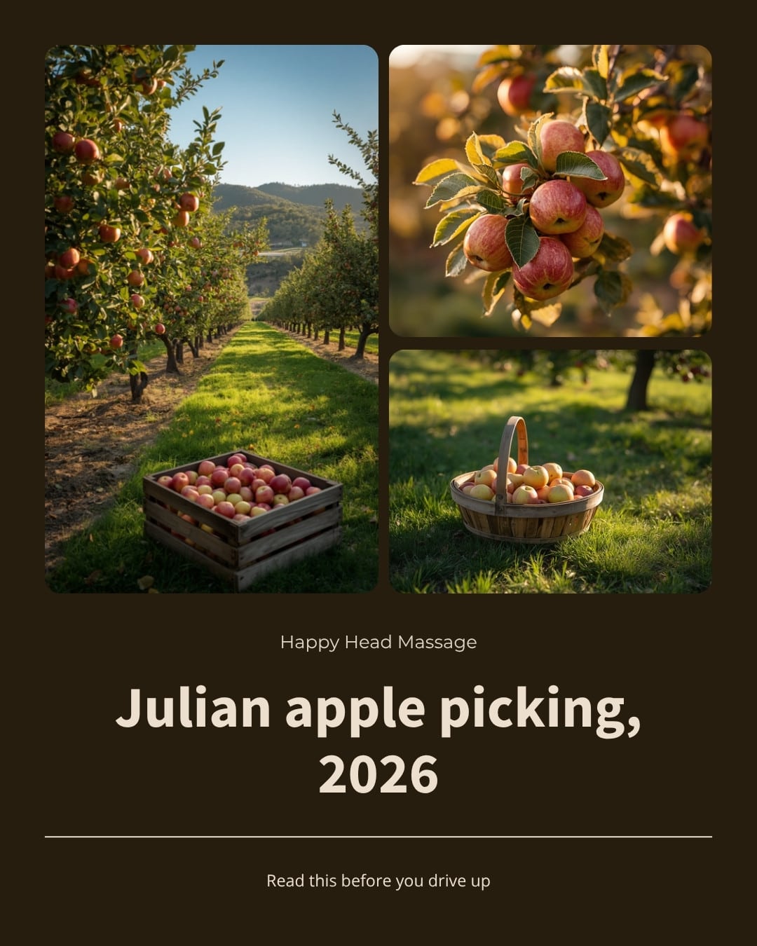 Julian apple picking orchard with crates of ripe apples in the San Diego mountains